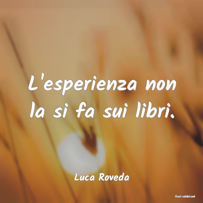 frasi di  Luca Roveda
