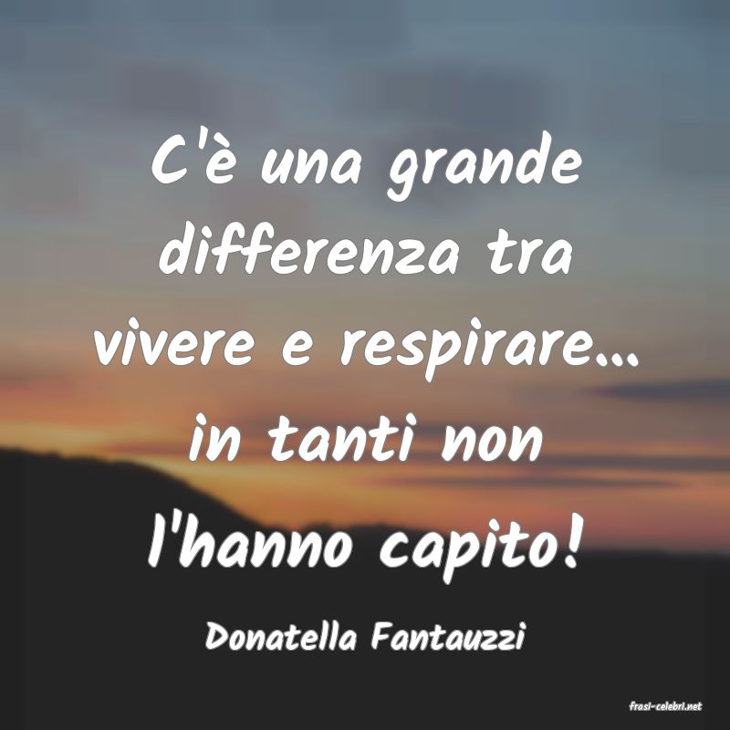 frasi di  Donatella Fantauzzi
