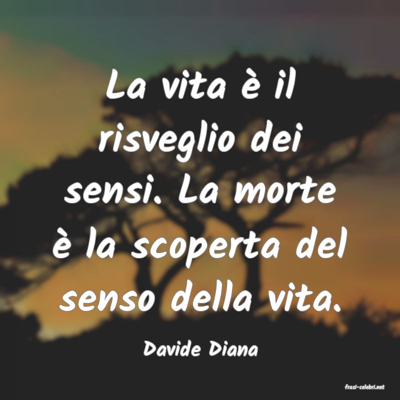 frasi di  Davide Diana
