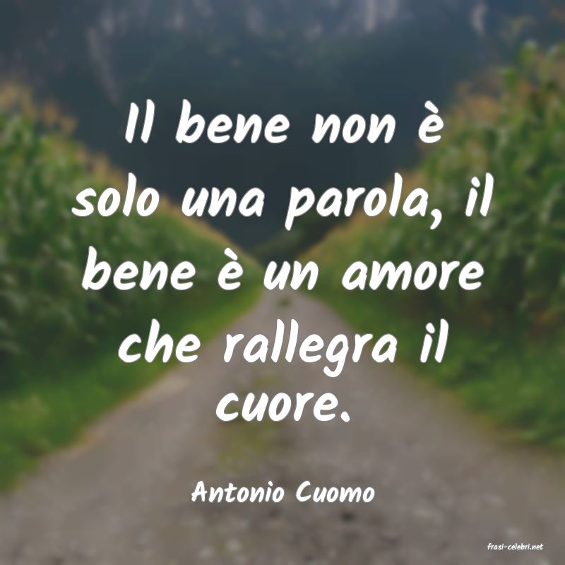 frasi di  Antonio Cuomo
