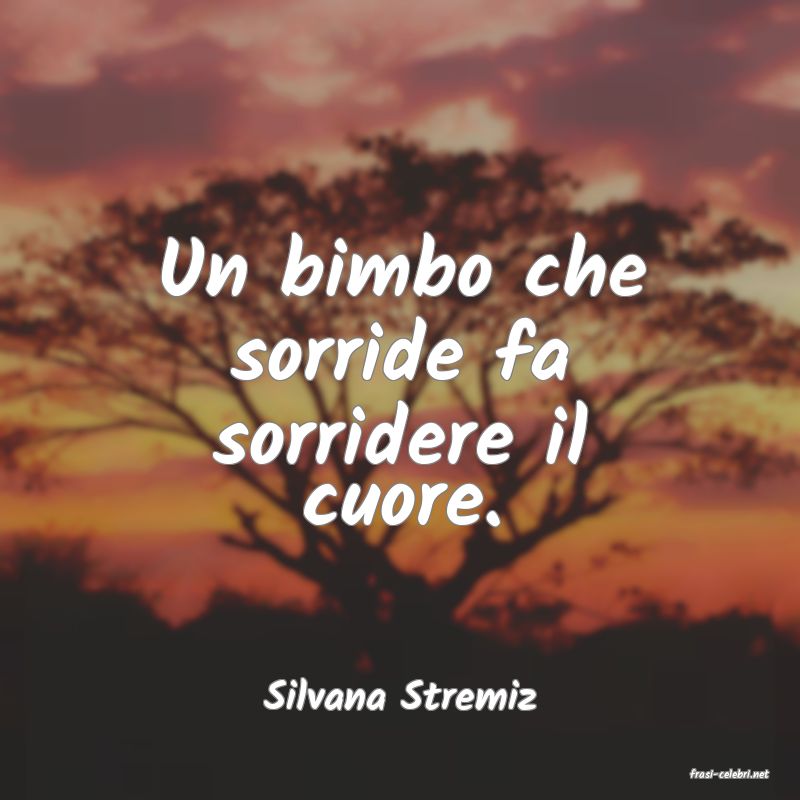 frasi di  Silvana Stremiz
