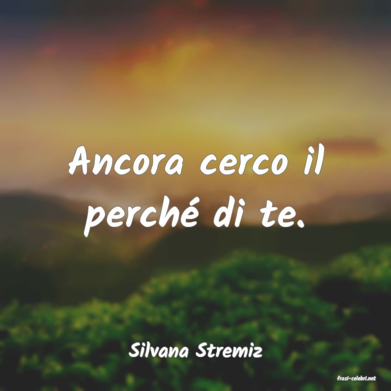 frasi di Silvana Stremiz