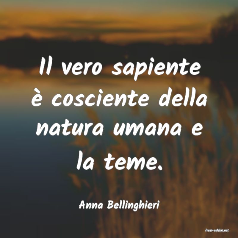 frasi di  Anna Bellinghieri
