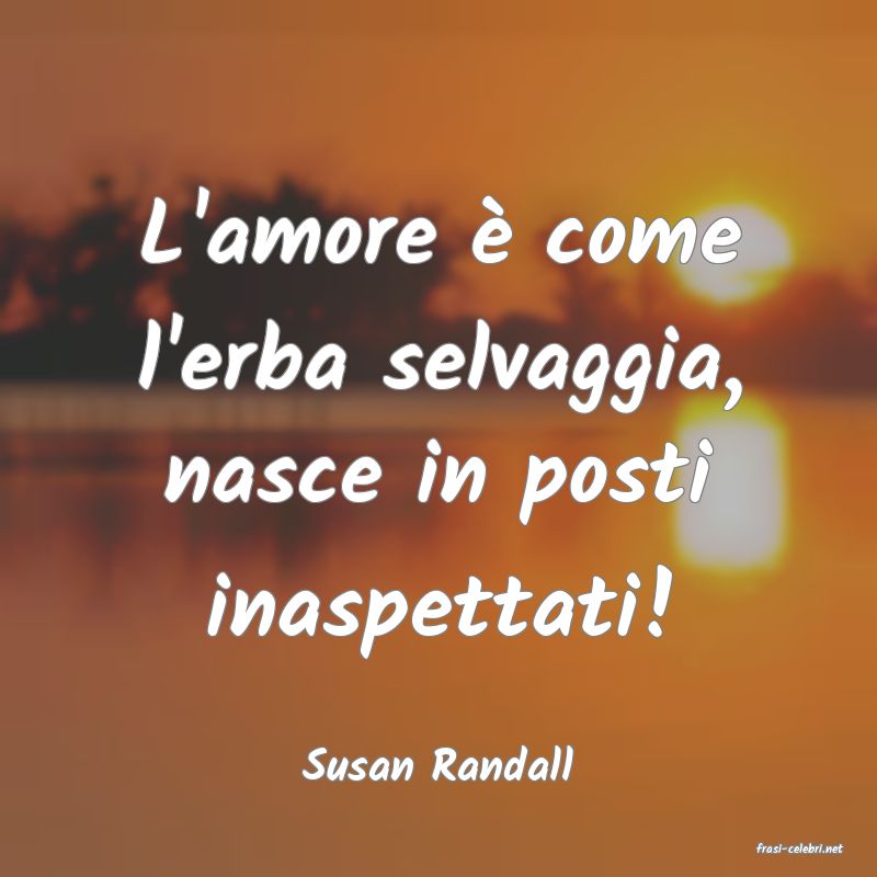 frasi di  Susan Randall
