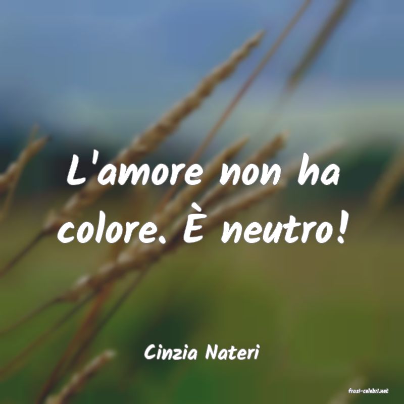 frasi di  Cinzia Nateri
