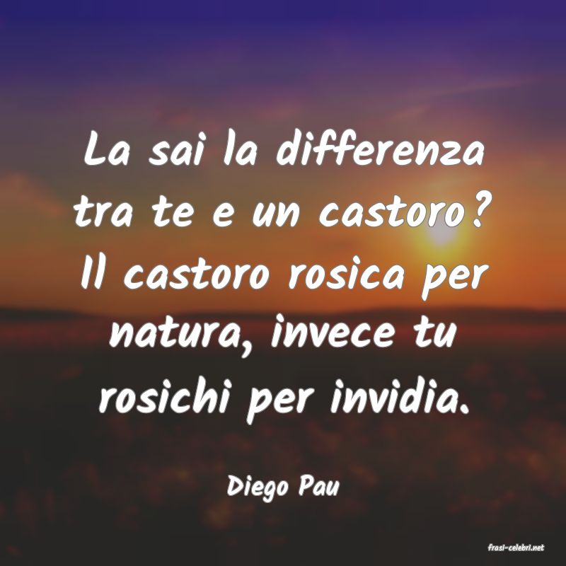 frasi di  Diego Pau
