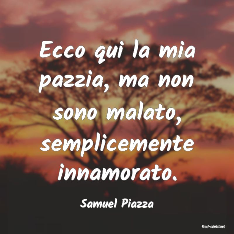 frasi di  Samuel Piazza
