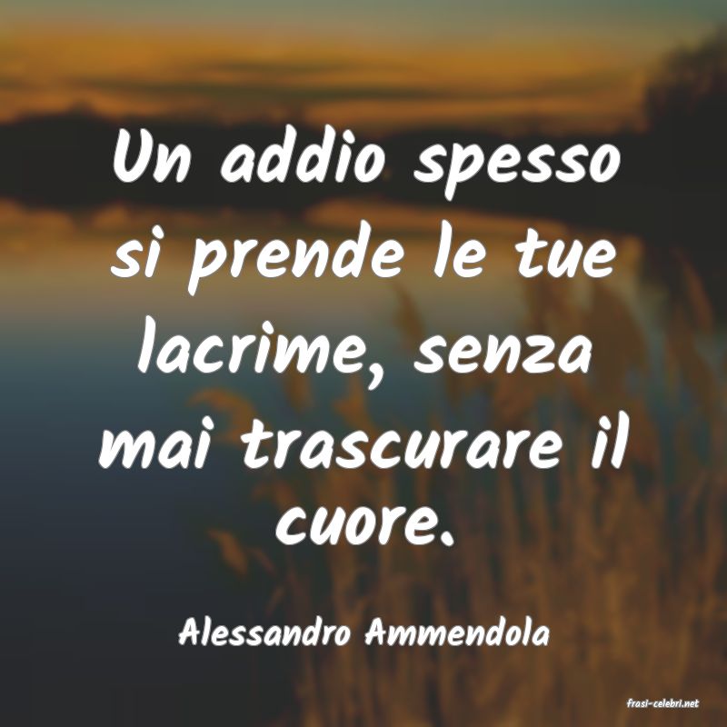 frasi di  Alessandro Ammendola
