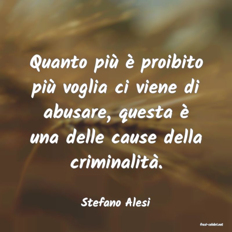 frasi di  Stefano Alesi
