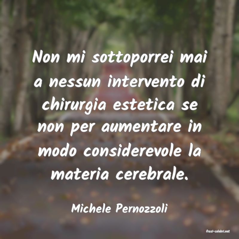 frasi di  Michele Pernozzoli
