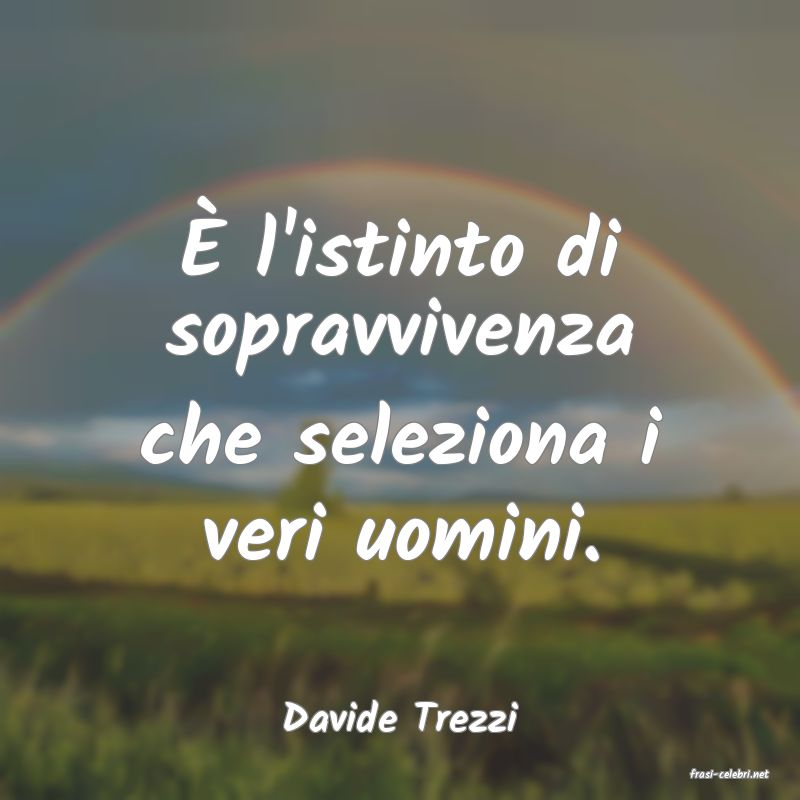 frasi di Davide Trezzi