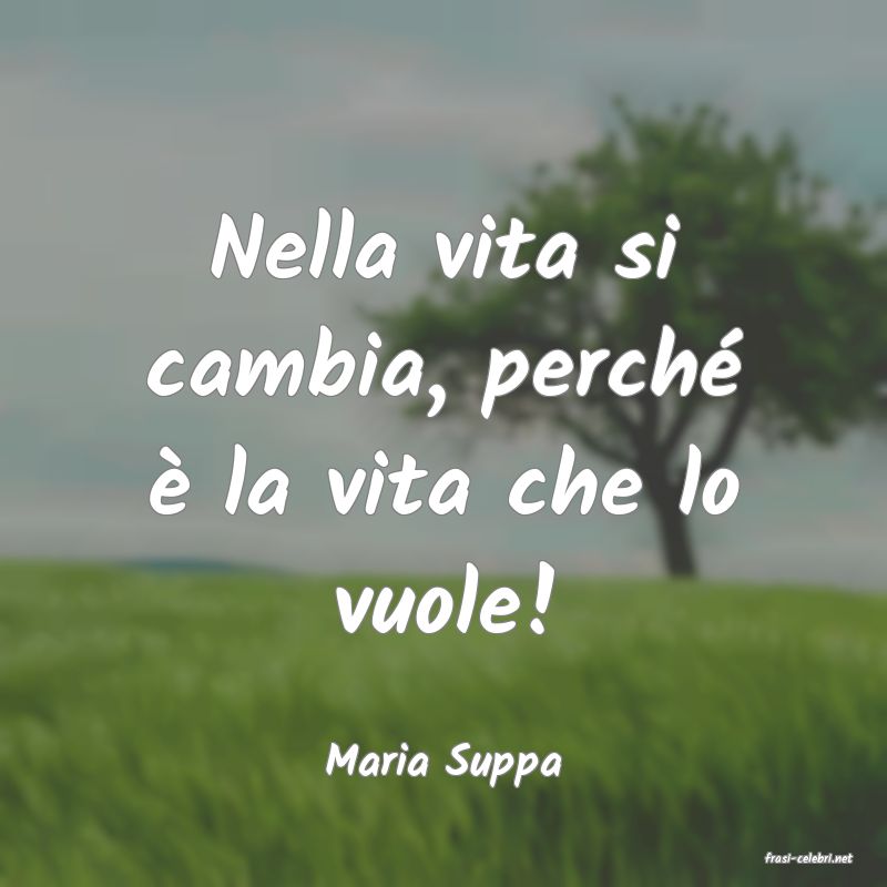 frasi di  Maria Suppa

