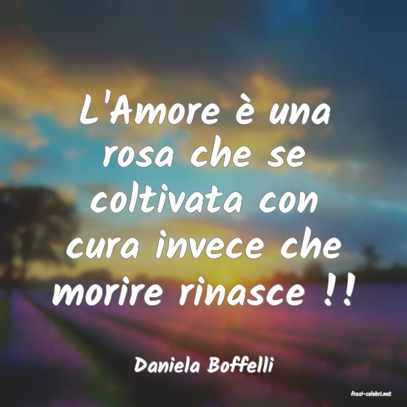frasi di Daniela Boffelli