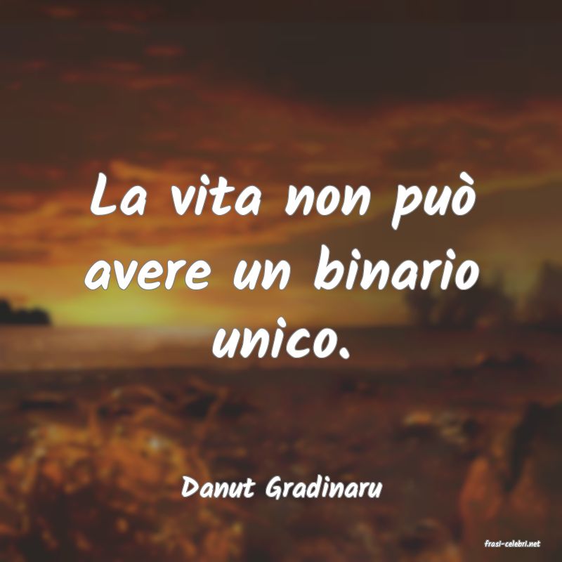 frasi di  Danut Gradinaru
