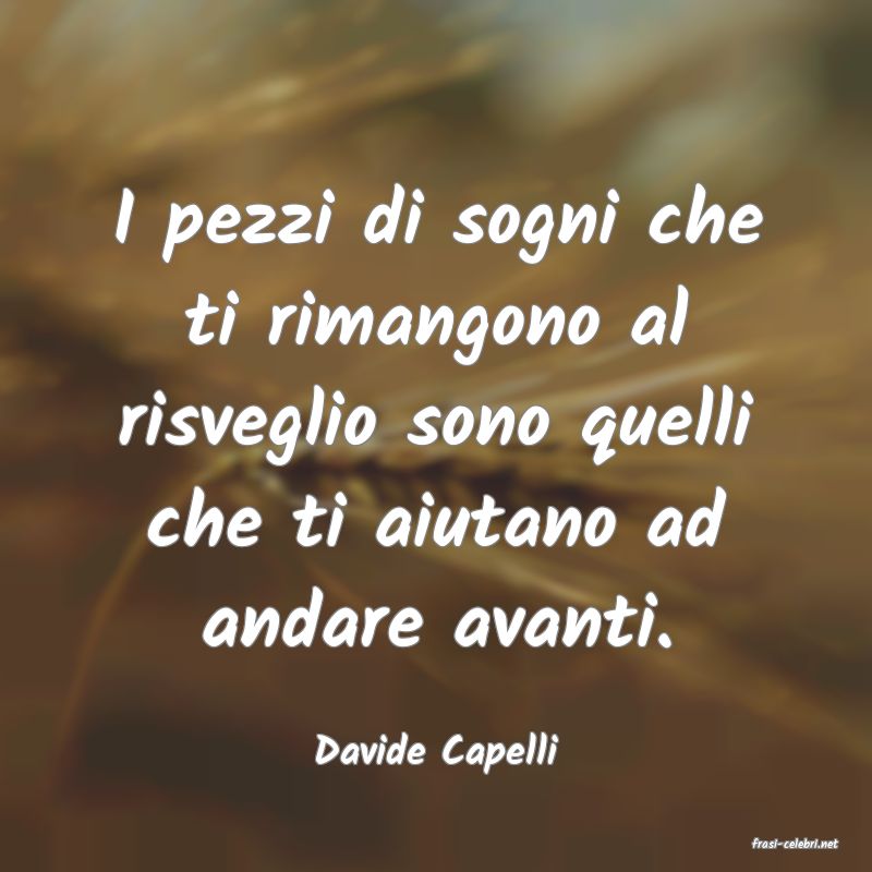 frasi di  Davide Capelli
