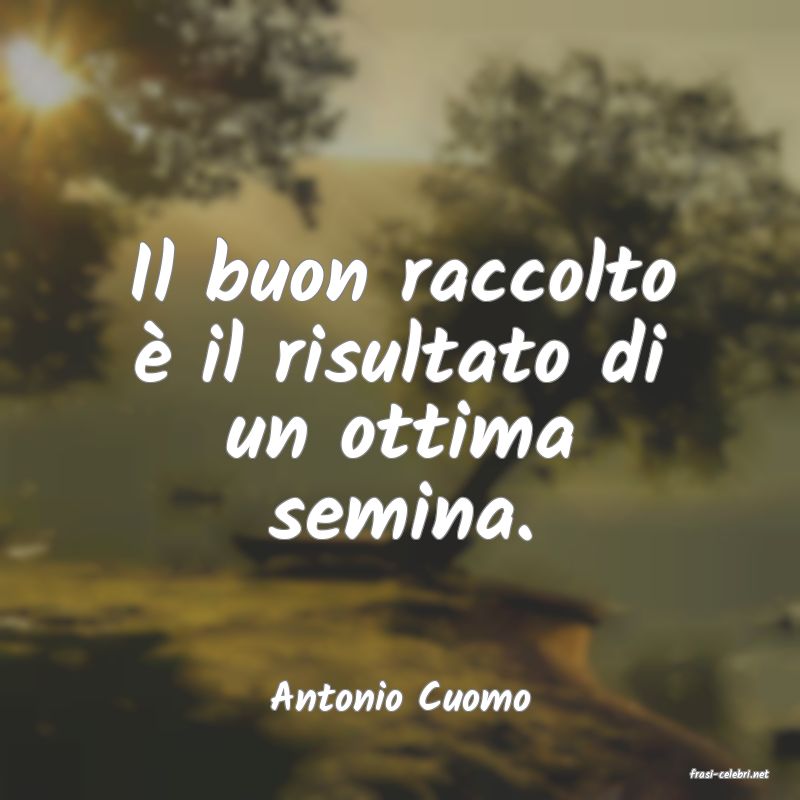 frasi di  Antonio Cuomo

