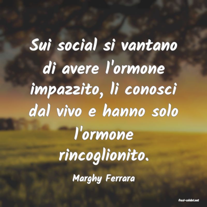 frasi di  Marghy Ferrara
