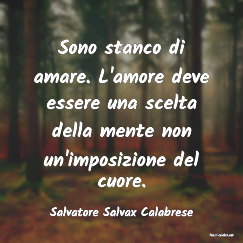 frasi di  Salvatore Salvax Calabrese
