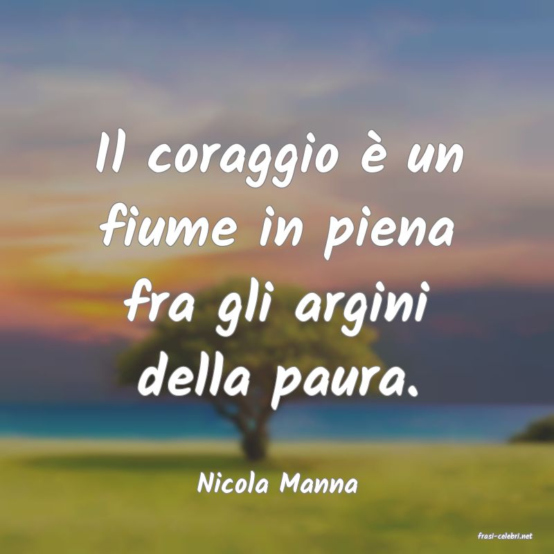 frasi di  Nicola Manna
