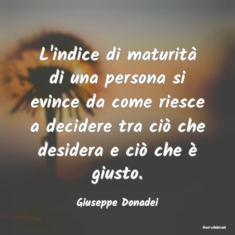 frasi di  Giuseppe Donadei
