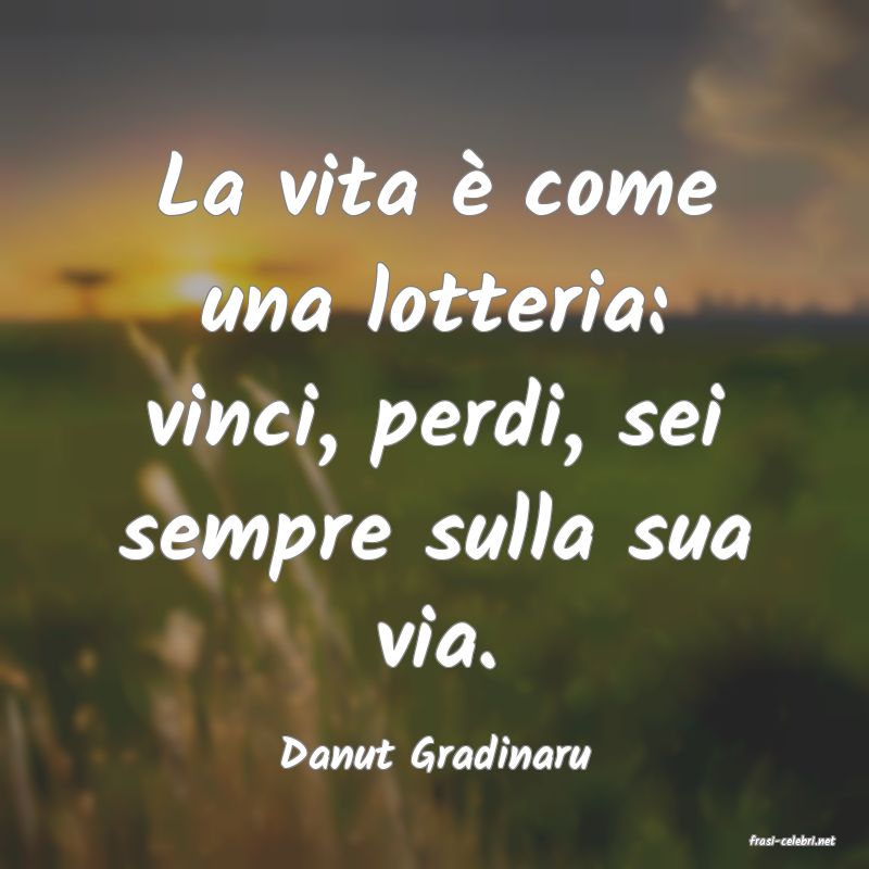 frasi di  Danut Gradinaru
