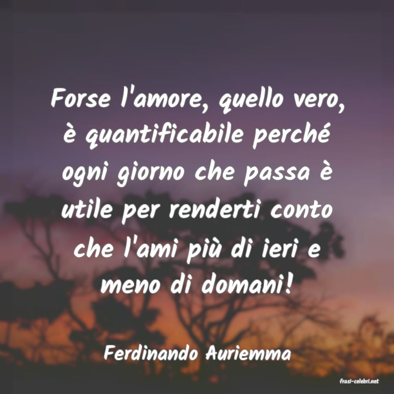 frasi di Ferdinando Auriemma