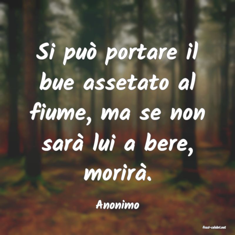 frasi di  Anonimo
