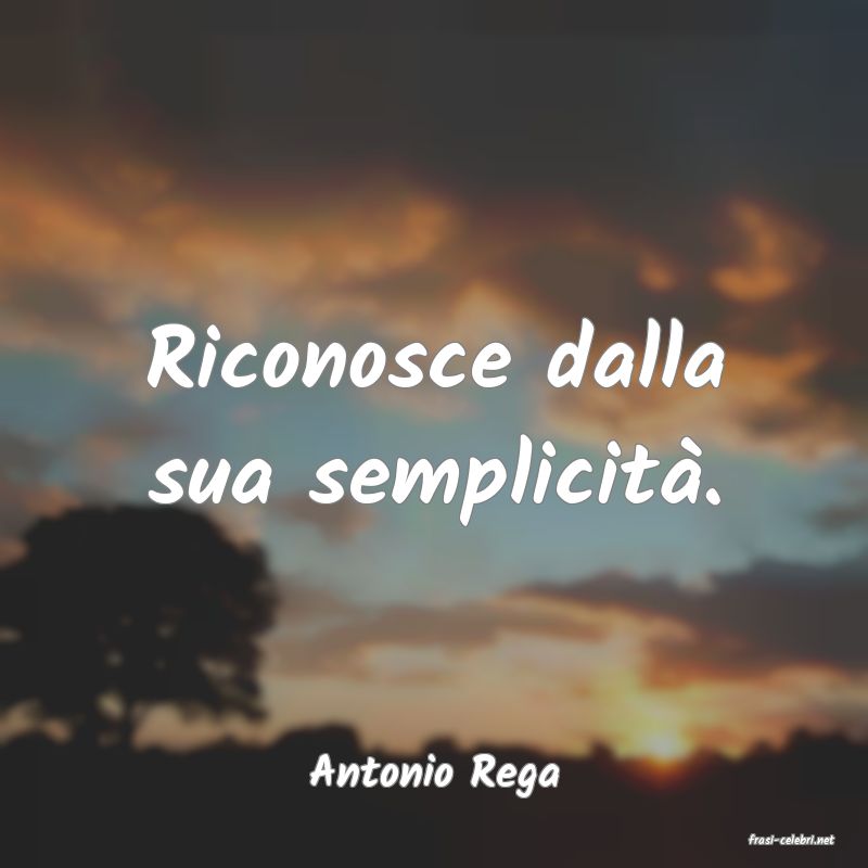 frasi di Antonio Rega