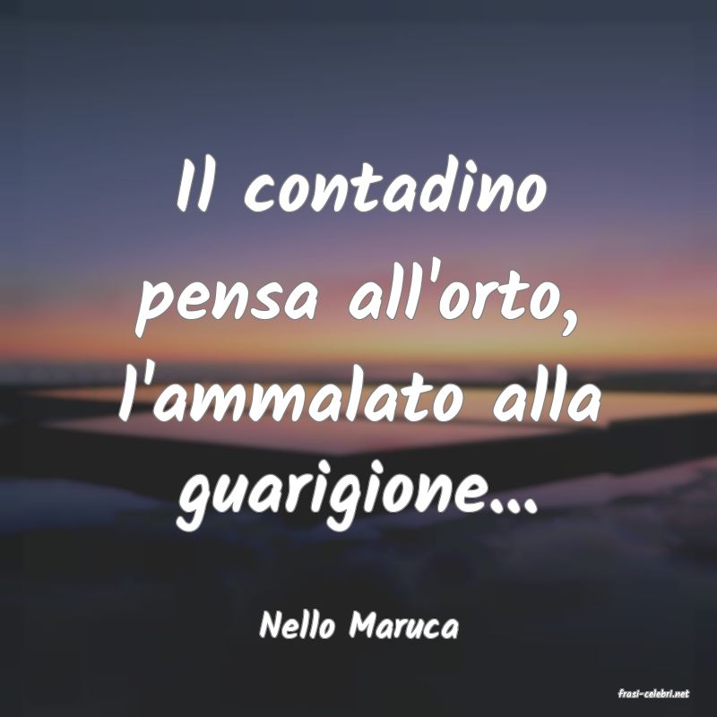 frasi di  Nello Maruca
