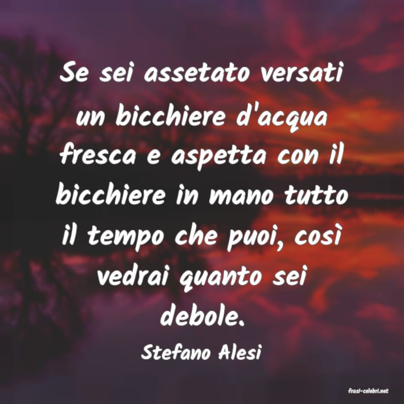 frasi di  Stefano Alesi
