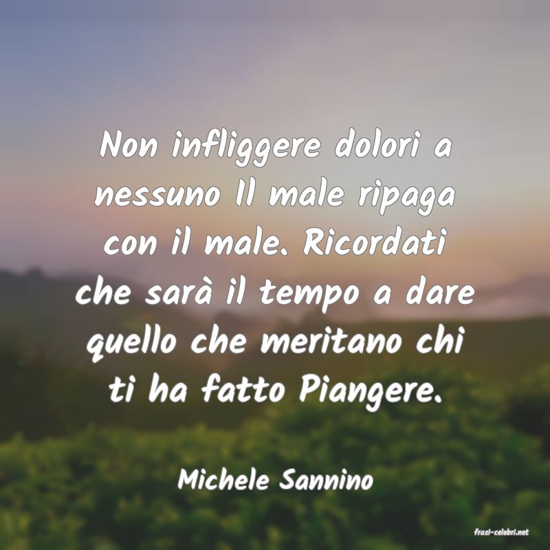 frasi di  Michele Sannino
