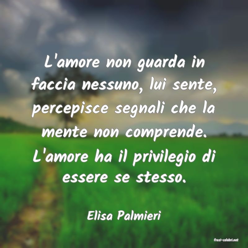 frasi di  Elisa Palmieri
