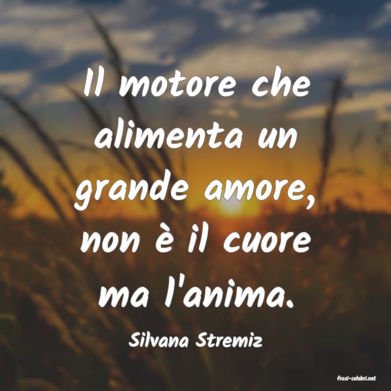 frasi di  Silvana Stremiz
