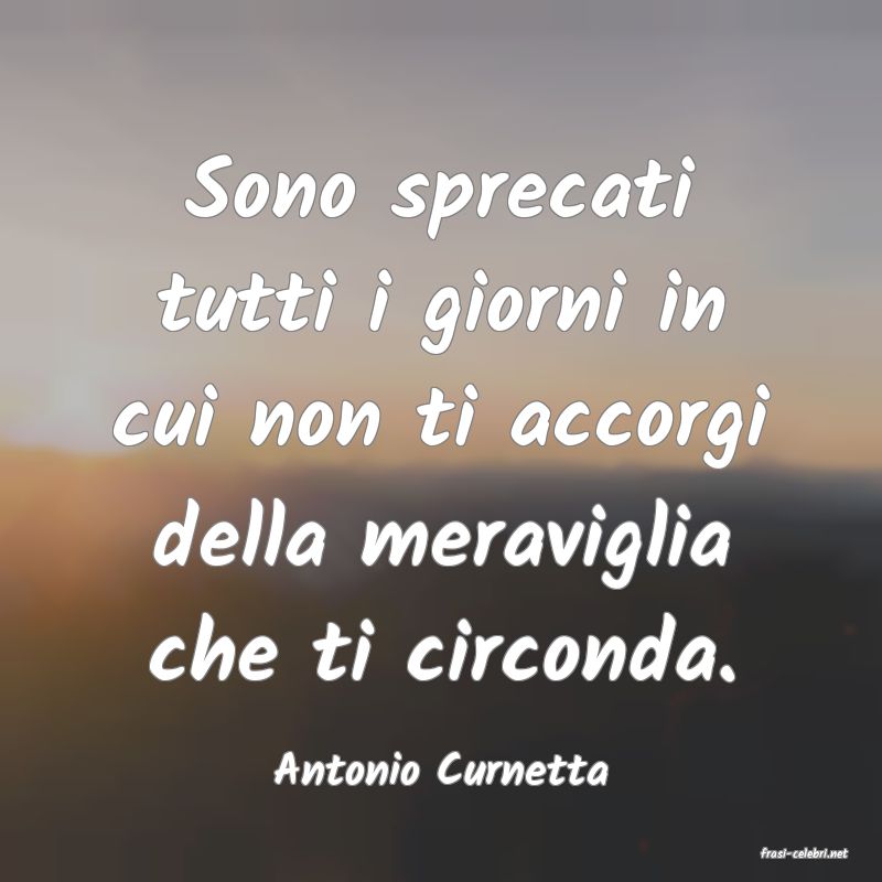 frasi di  Antonio Curnetta
