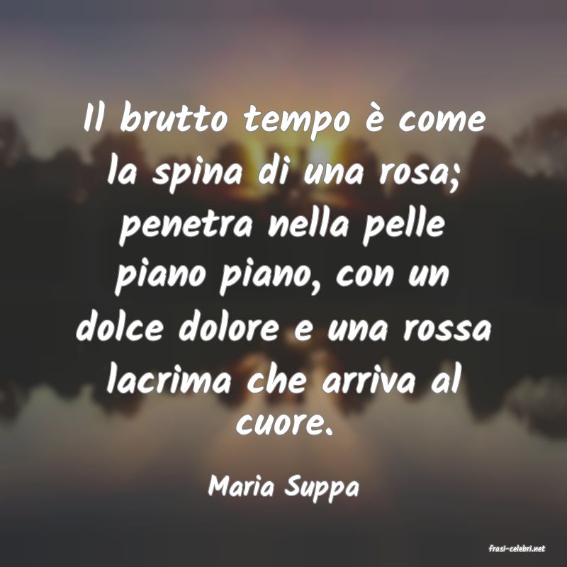 frasi di  Maria Suppa

