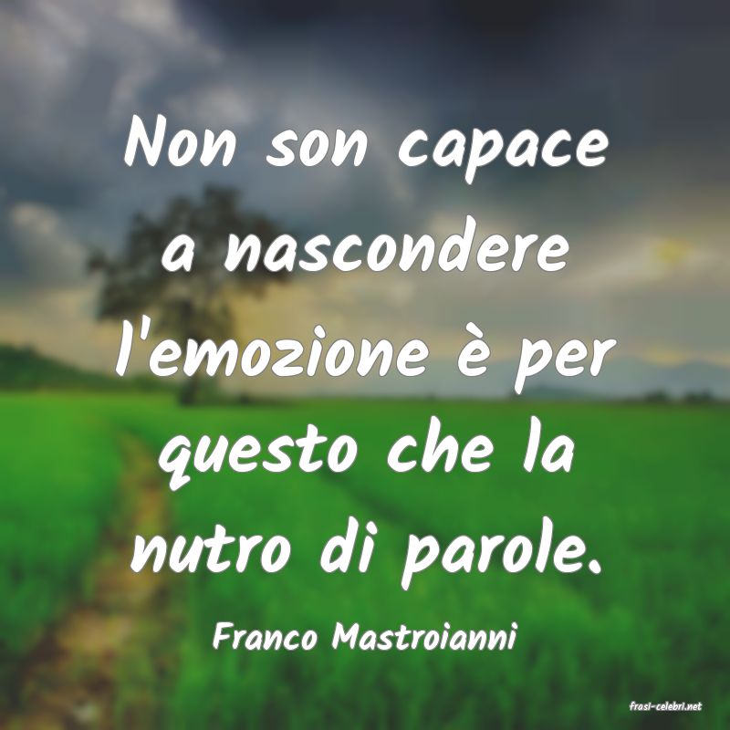 frasi di  Franco Mastroianni
