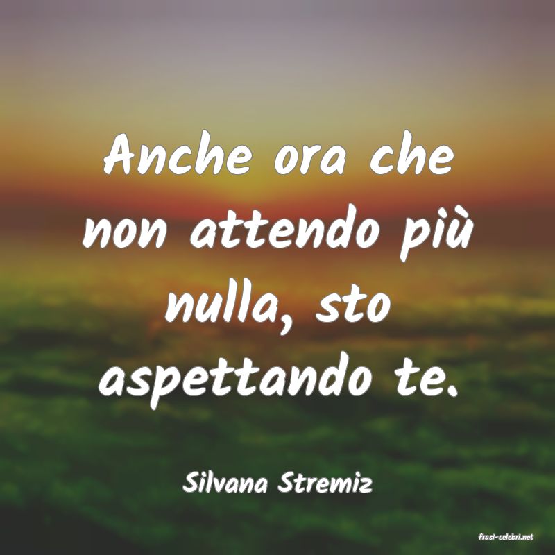 frasi di  Silvana Stremiz
