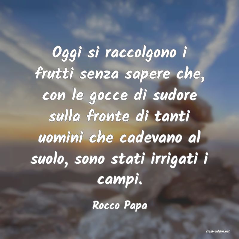 frasi di  Rocco Papa

