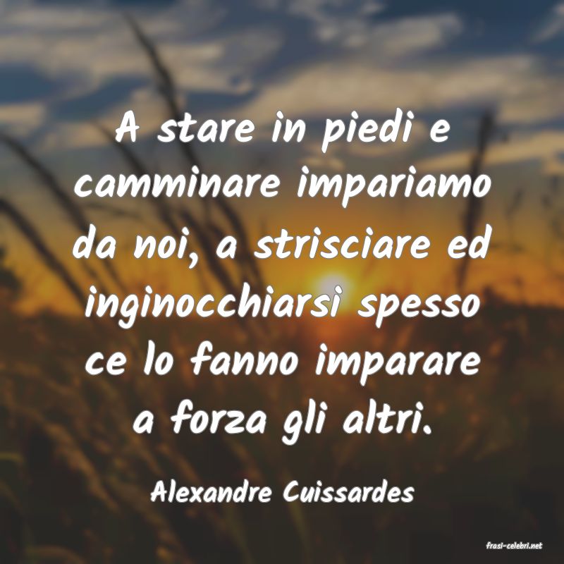 frasi di  Alexandre Cuissardes

