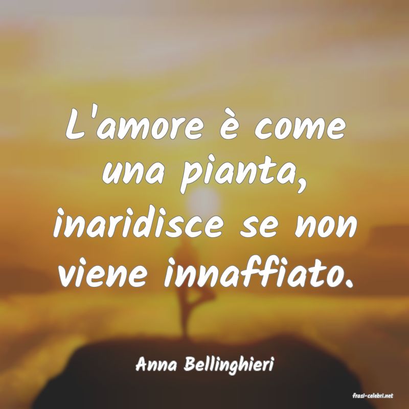 frasi di Anna Bellinghieri