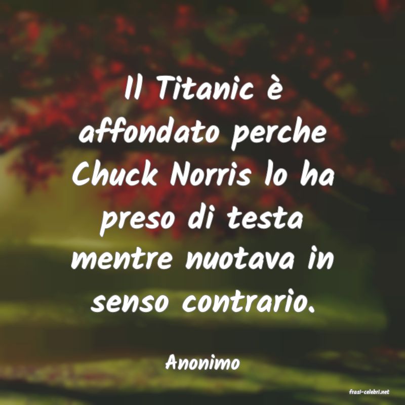 frasi di Anonimo
