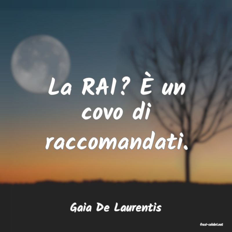 frasi di Gaia De Laurentis