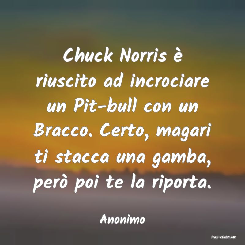 frasi di Anonimo