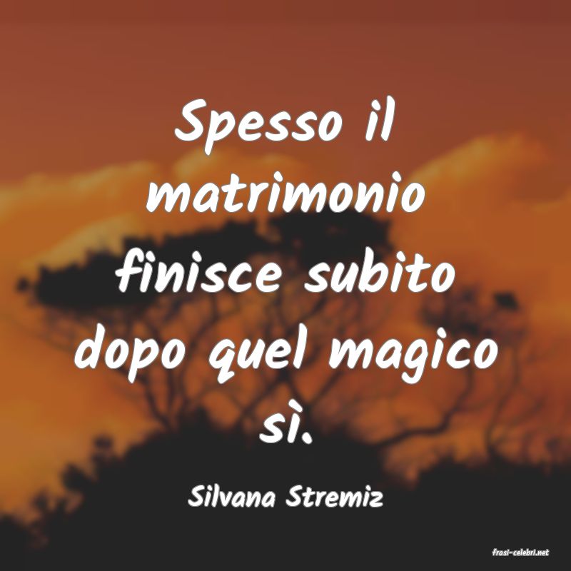 frasi di  Silvana Stremiz
