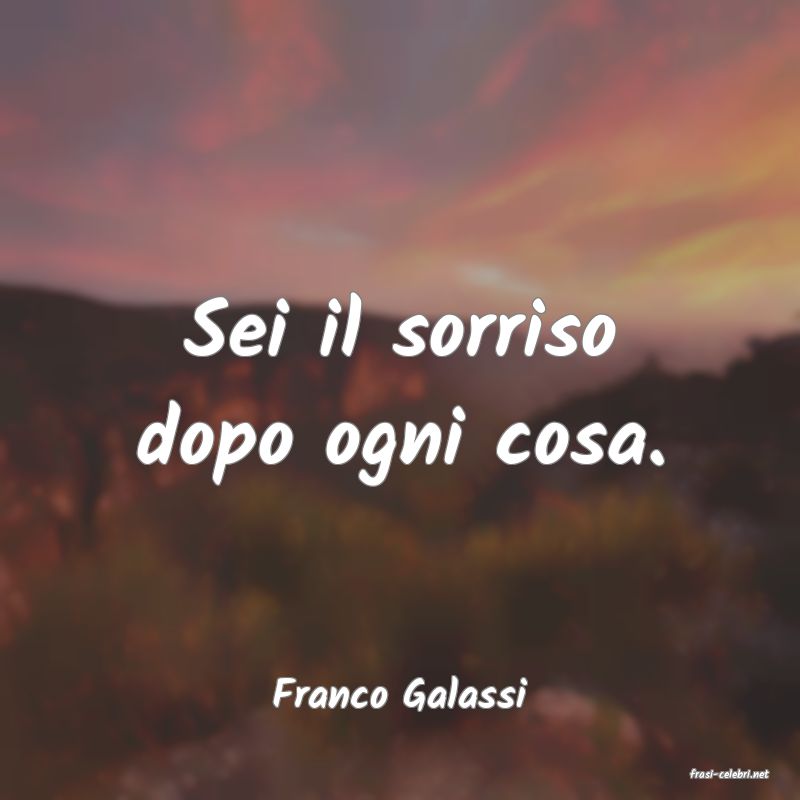 frasi di  Franco Galassi
