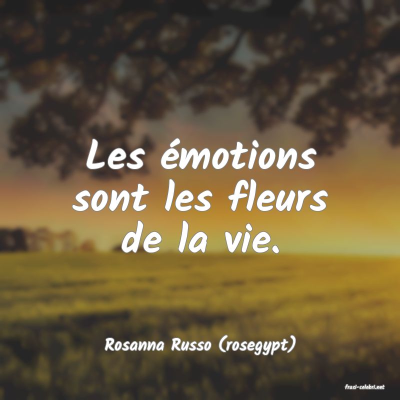 frasi di  Rosanna Russo (rosegypt)
