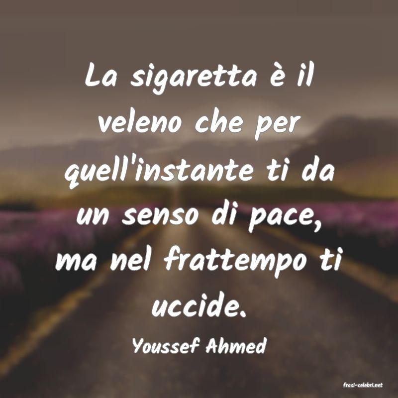 frasi di  Youssef Ahmed
