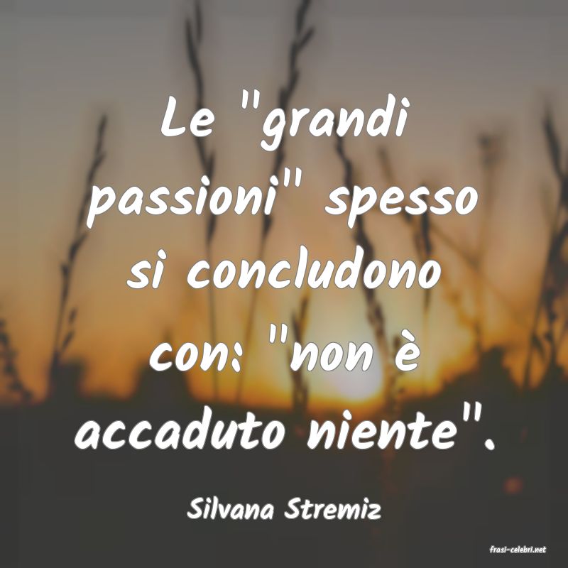 frasi di Silvana Stremiz