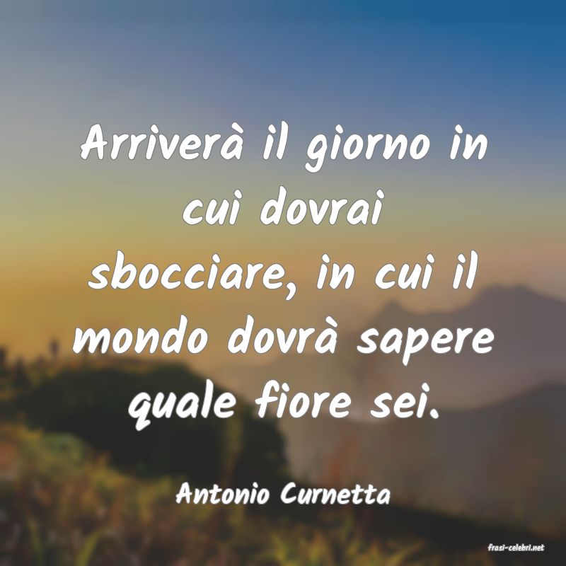 frasi di  Antonio Curnetta
