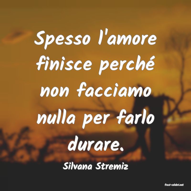 frasi di  Silvana Stremiz
